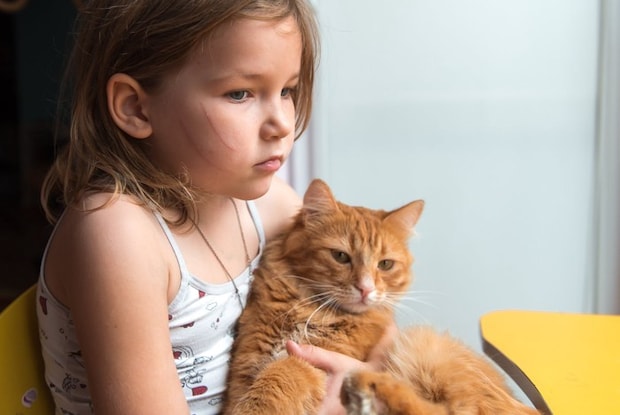 顔に引っかき傷がある女の子と猫