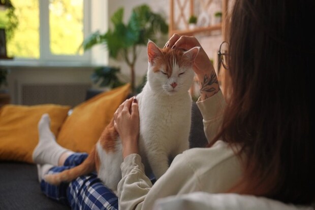 女性と猫