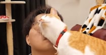 飼い主さんが大好きで『スリスリが止まらない猫』…想像を超える『激しさ』に「耐えてるのおもろすぎるｗ」「フィーバータイムｗ」と爆笑の声続出