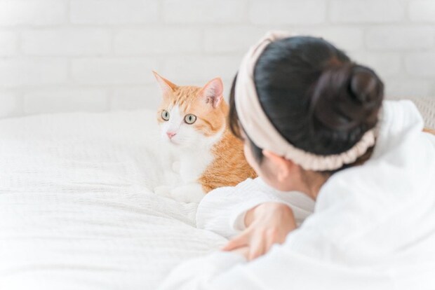 猫に話しかける女性