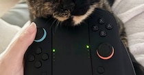 ゲームのプレイ中に『猫』がやって来て…中断せざるを得ない『可愛すぎるアピール』が11万表示「たまらん…」「表情が好き」と悶絶の声