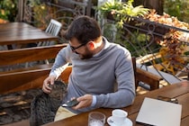 ローストディナーをもらうため「野良猫のふり」をしておねだりを続けた猫　その「二重生活」がついに暴露される　英国