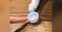 インフルでダウン中→猫と『ペットボトルのキャップ』で遊んでみた結果…微笑ましすぎる光景に「混ざりたいｗ」「一生できるねｗ」と１万いいね