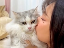 フワフワの子猫を『猫吸い』するママ→つい夢中になってしまうと…切なすぎる『リアクション』が話題「虚無顔ｗｗｗ」「発作が出ちゃってる」