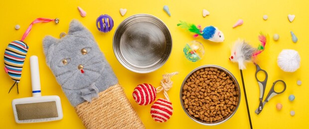 猫用品あれこれ