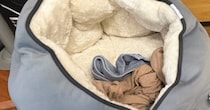 11歳の猫のために『極暖ベッド』を用意した結果→すぐ横を見ると……まさかの光景が112万表示「あるあるすぎるｗ」「たまらないね」