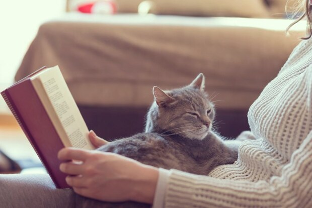 読書している女性に甘える猫