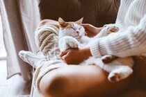 猫は飼い主を『どんな存在』だと認識しているの？　愛猫があなたに思っている4つの気持ちとは