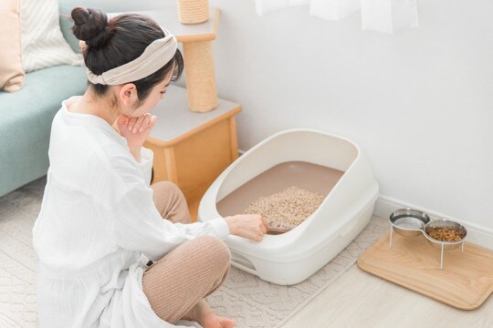 猫がみせる『生理現象』に潜む異常サイン4つ　正常時との見分け方や取るべき対処法