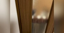帰宅して部屋のドアを開けると、『2匹の猫』が…あまりにも尊い『お出迎えの光景』が99万再生「想像以上に可愛い」「本当にたまらない」