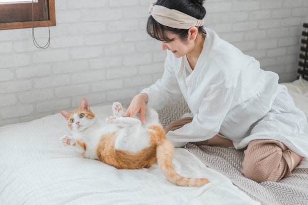 女性と猫