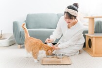 猫を迎える前に『備えておくべき物』5つ　必要になる理由や選び方のポイント