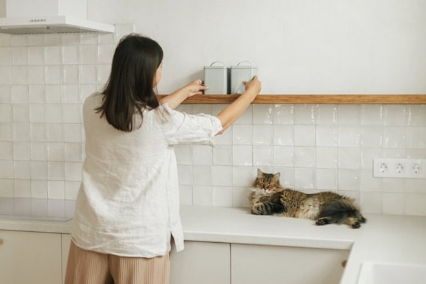 片づける女性と猫