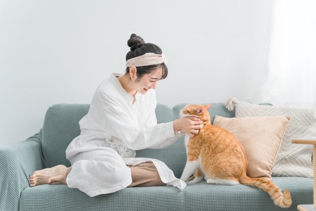 猫を撫でる女性
