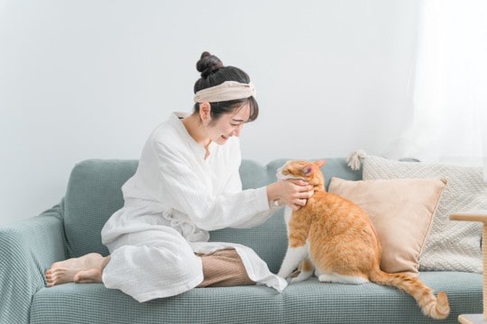 『神経質な猫』に見られる5つの特徴 飼い主が意識すべき接し方も解説
