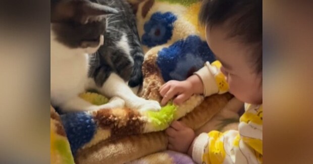 一緒にくつろいでいた『赤ちゃんと猫』を見守っていたら…涙が出るほど『尊い光景』が45万再生「なんて優しい時間」「めっちゃ可愛い」