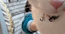 息子を撮影しようとカメラを向けたら、『猫』が…まさかの瞬間に２万いいね「プライバシーはオラが守るｗ」「可愛すぎる」とSNSで話題