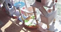 Amazonの配達員から連絡→何かと思ったら…ほっこりするやり取りと『窓際の光景』に１万いいね「すごい猫ｗ」「外から見たら楽しそう」