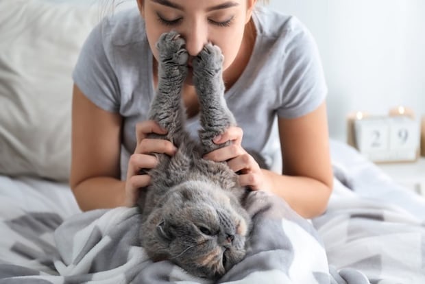 顔を背けて女性の顔に足を突っ張る猫
