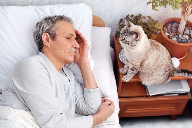 寝ている男性を見ている猫