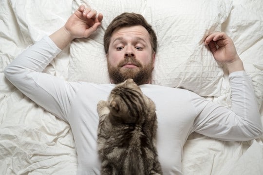 猫が飼い主の『就寝中に襲いかかる』理由4つ　睡眠を邪魔されないための対処法まで