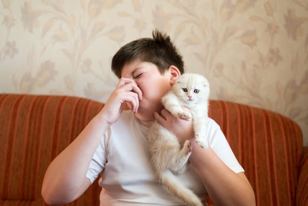子猫を抱えて鼻をつまむ少年