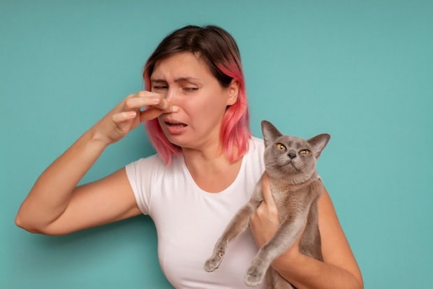 猫を抱えながら鼻をつまむピンク髪の女性