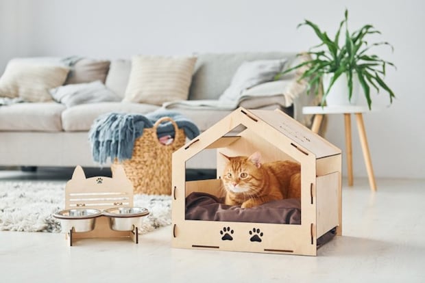 ハウスでくつろぐ猫