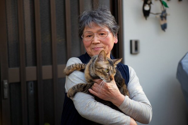 トラ猫を抱くアジア人高齢女性