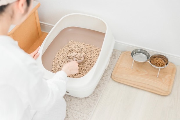 トイレ掃除をする女性