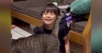 ホームステイ先の猫と仲良くなりたくて…『4歳の女の子』がとった素敵な行動が309万再生「めちゃめちゃ癒された」「すごいお利口」
