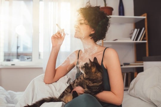 猫と暮らすなら『タバコ』を吸うべきではない理由3選　危険なトラブルの可能性から及ぼす悪影響まで