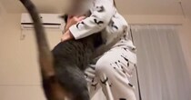 娘が『内緒で撮っていた映像』を見てみたら…猫との『尊いやり取り』が19万再生「本当の姉妹のよう」「ほっこりした」と癒される人が続出