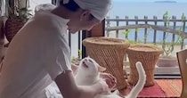 甘えん坊な元野良猫をなでなでしていると…思わず笑ってしまう『まさかの光景』が15万再生「ゾワゾワしたｗ」「幸せが詰まってる」