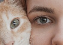 猫の『視覚』に関する知識5つ　視力や色の見え方や人との違いも解説