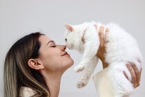 猫を飼う前に知っておきたい『運命の猫』を迎える方法3つ　相性の見極め方や飼い主に必要な心得まで