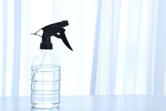 猫のしつけに『霧吹き』が効くと言われる理由3つ　効果的な使い方や注意すべきこと