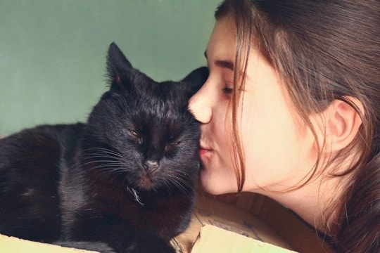 猫があなたに『ありがとう』と伝えているサイン3つ 愛猫が感謝を感じる瞬間や応え方まで