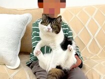 生まれて初めてネコとふれあう男の子→念願の『抱っこ』に挑戦してみると……『素敵な光景』に「良い経験」「胸を打たれた」と絶賛の声