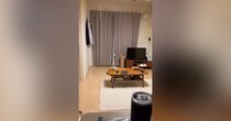 『視線を感じる』と思ったら、愛猫が……ちょっぴりホラーな瞬間に笑ってしまう人が続出「こわいこわいｗ」「めっちゃ見てるｗ」