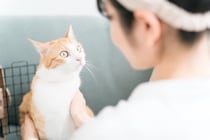 保護猫を迎える前の『トライアル期間』とは？確認すべき5つのポイントや必要性を解説