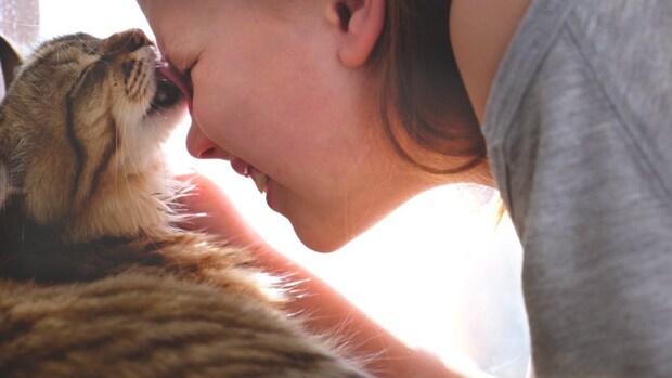 飼い主の顔を舐める猫