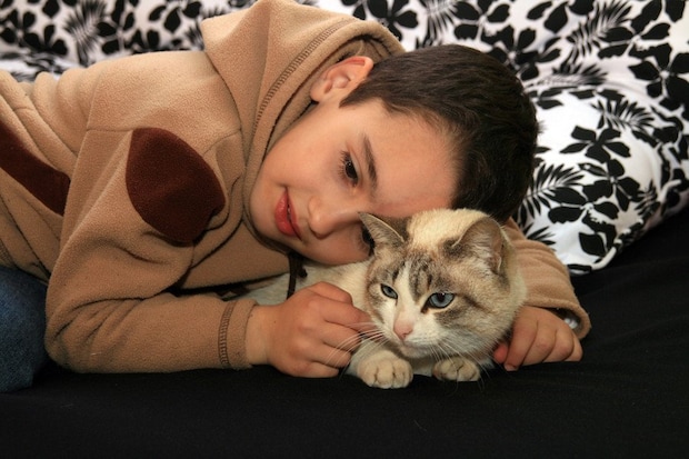 猫に顔を寄せる少年