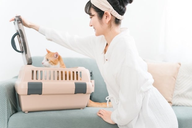 キャリーバッグに猫を入れる女性