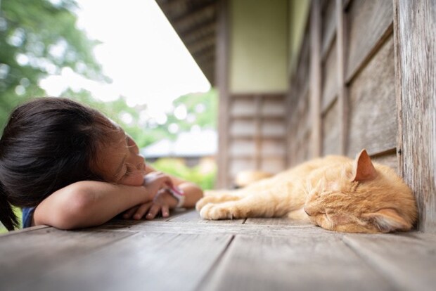 縁側で昼寝する猫に添い寝する子供