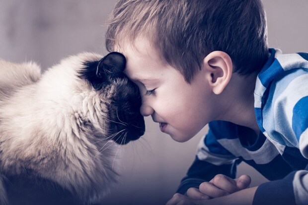 おでことおでこをつける猫と男の子
