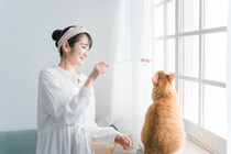 猫と一緒に『遊ぶときのルール』4つ　時間や回数の目安から上手な遊び方まで