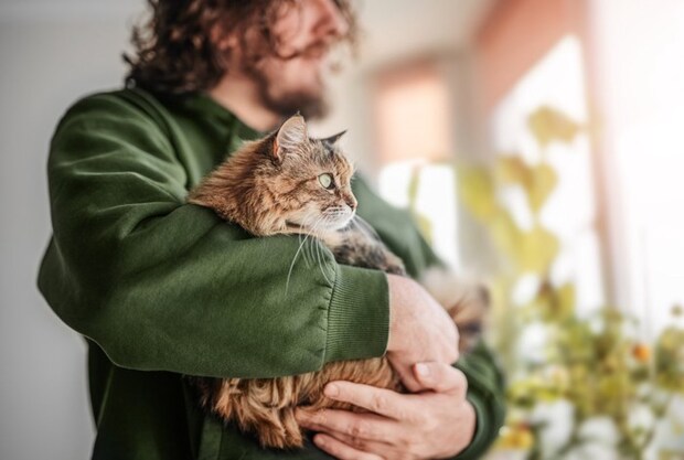 抱っこされる猫