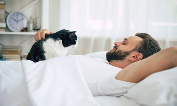 横になる男性の隣に座る猫