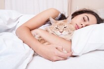 猫が『添い寝したい』と思っているときのサイン3選　一緒に寝たがる理由や注意すべきことも解説